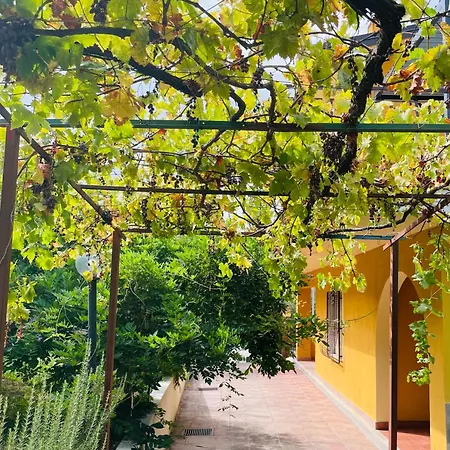 Radice Libera - Tatil Evi *